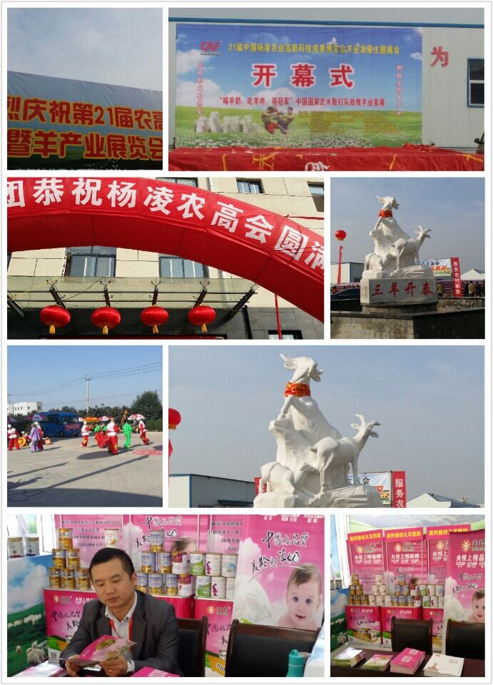 CG电子游戏(中国集团)官方网站