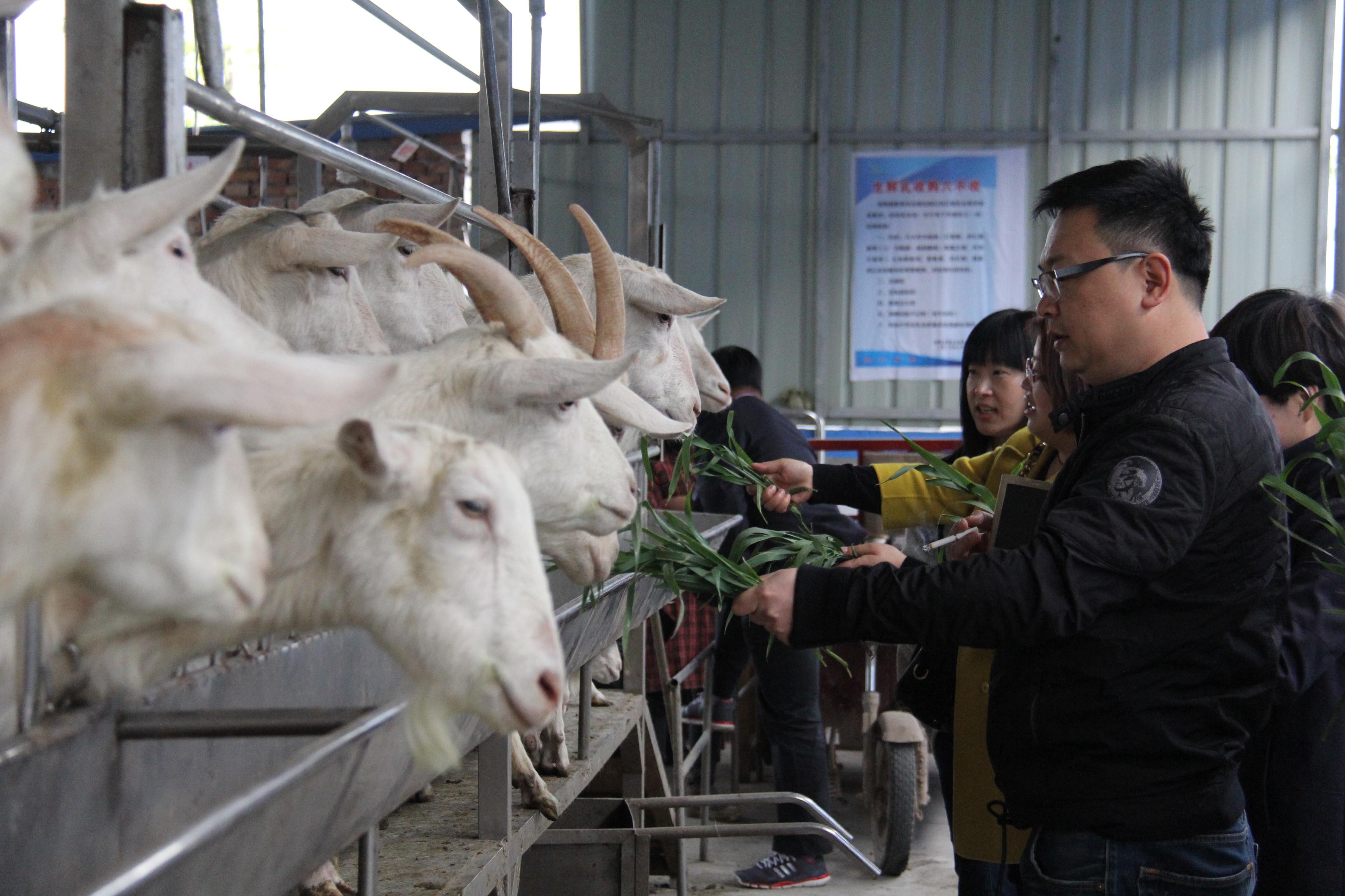 CG电子游戏(中国集团)官方网站