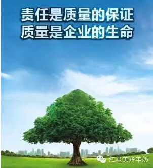 CG电子游戏(中国集团)官方网站