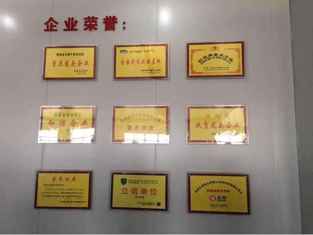 CG电子游戏(中国集团)官方网站