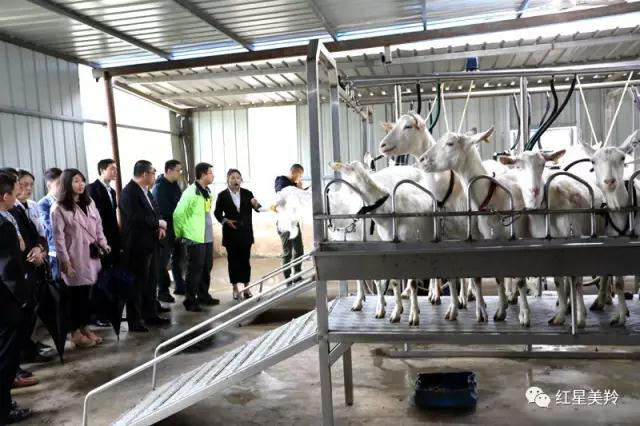 CG电子游戏(中国集团)官方网站
