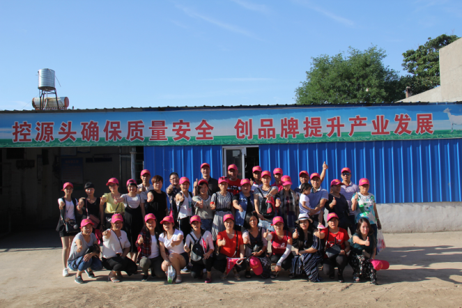 CG电子游戏(中国集团)官方网站