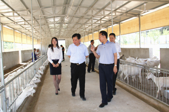 CG电子游戏(中国集团)官方网站