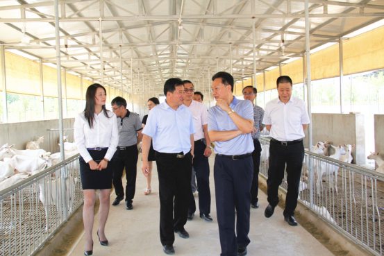 CG电子游戏(中国集团)官方网站