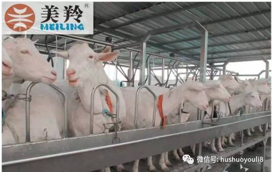 CG电子游戏(中国集团)官方网站