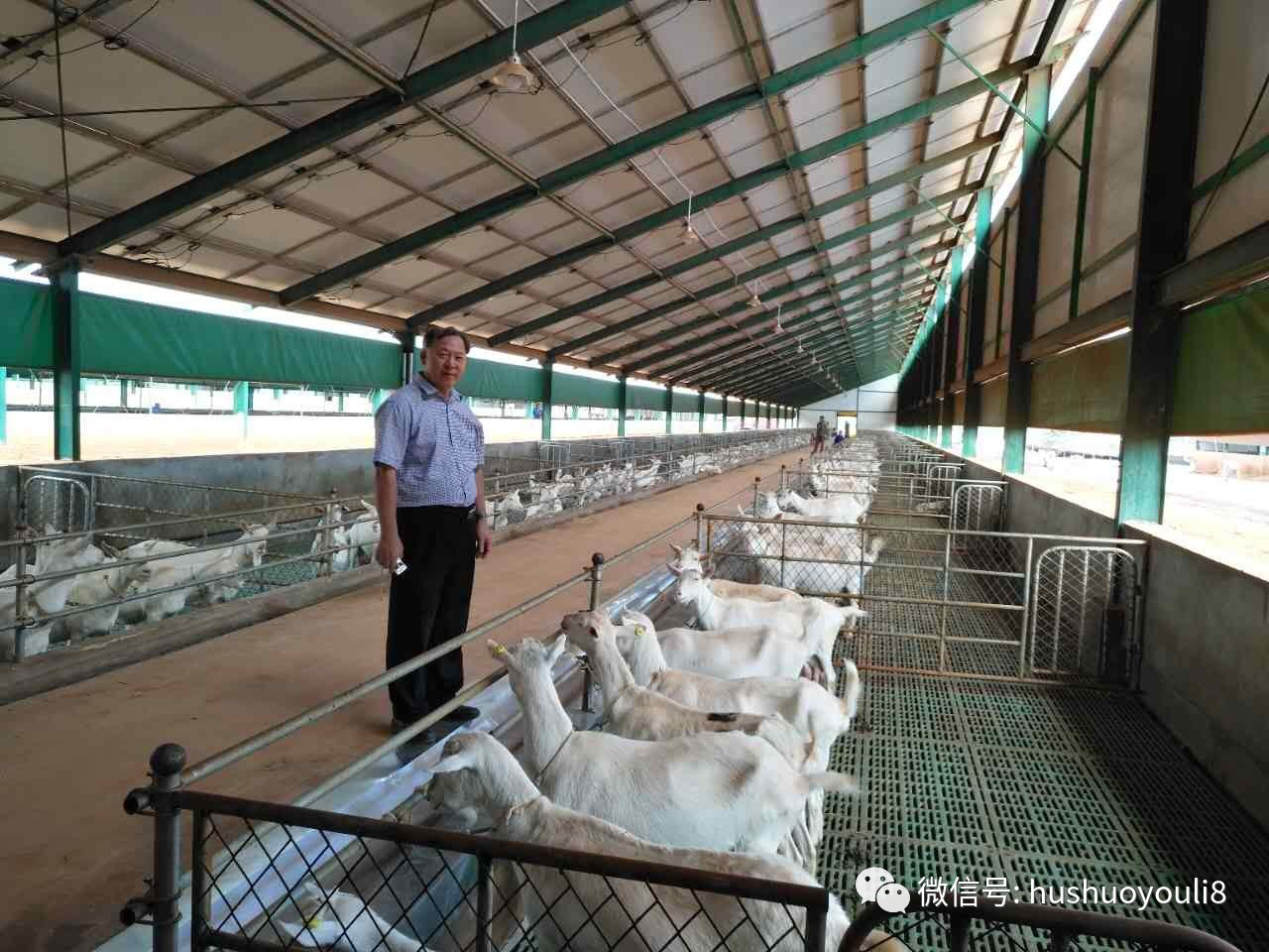 CG电子游戏(中国集团)官方网站