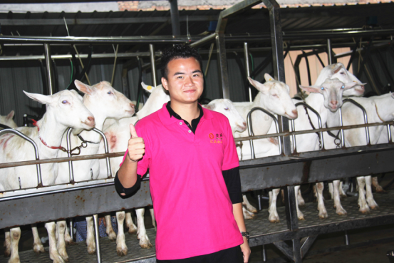 CG电子游戏(中国集团)官方网站