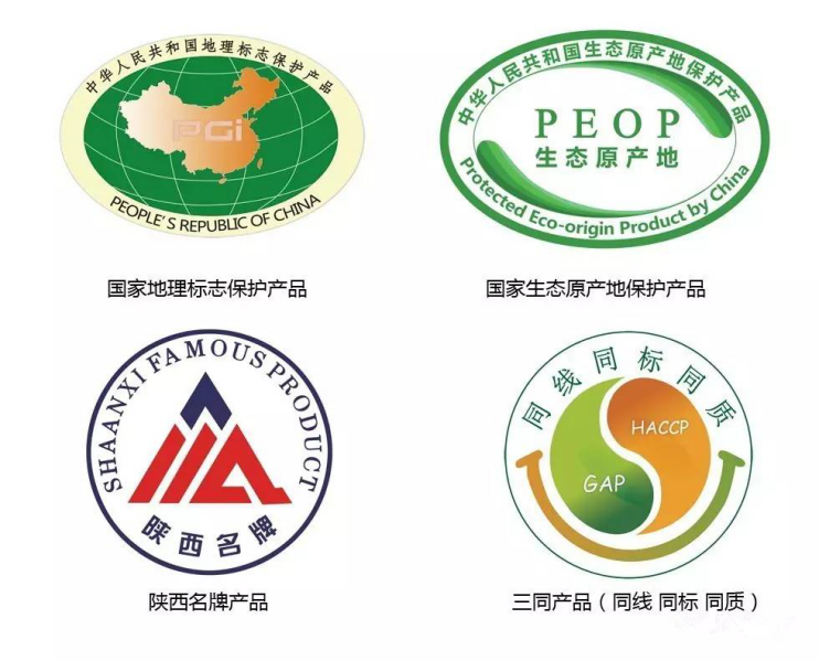 CG电子游戏(中国集团)官方网站