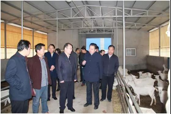 CG电子游戏(中国集团)官方网站
