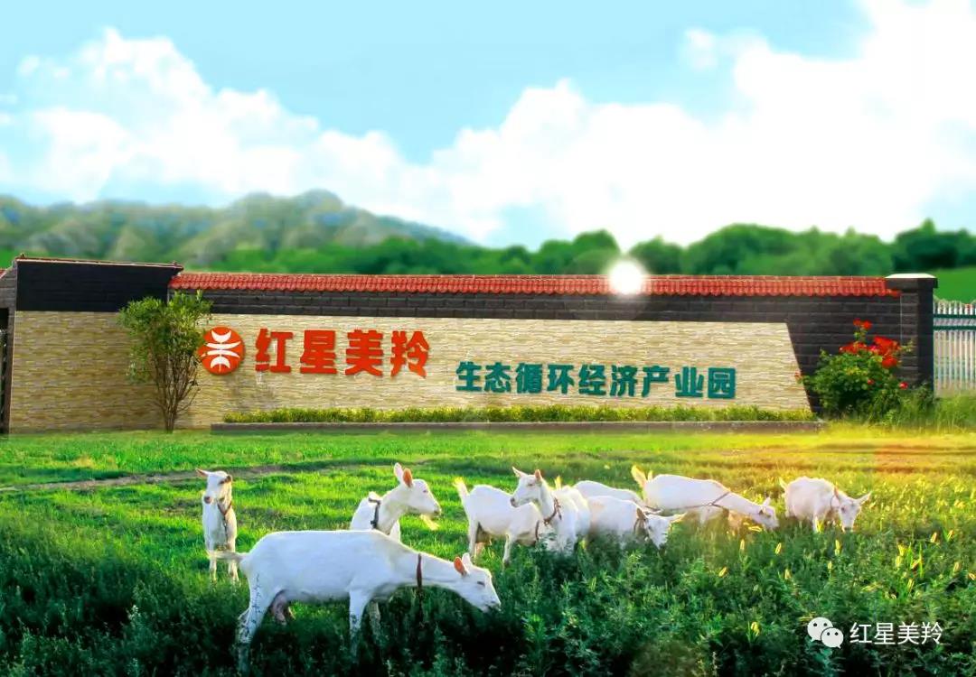 CG电子游戏(中国集团)官方网站