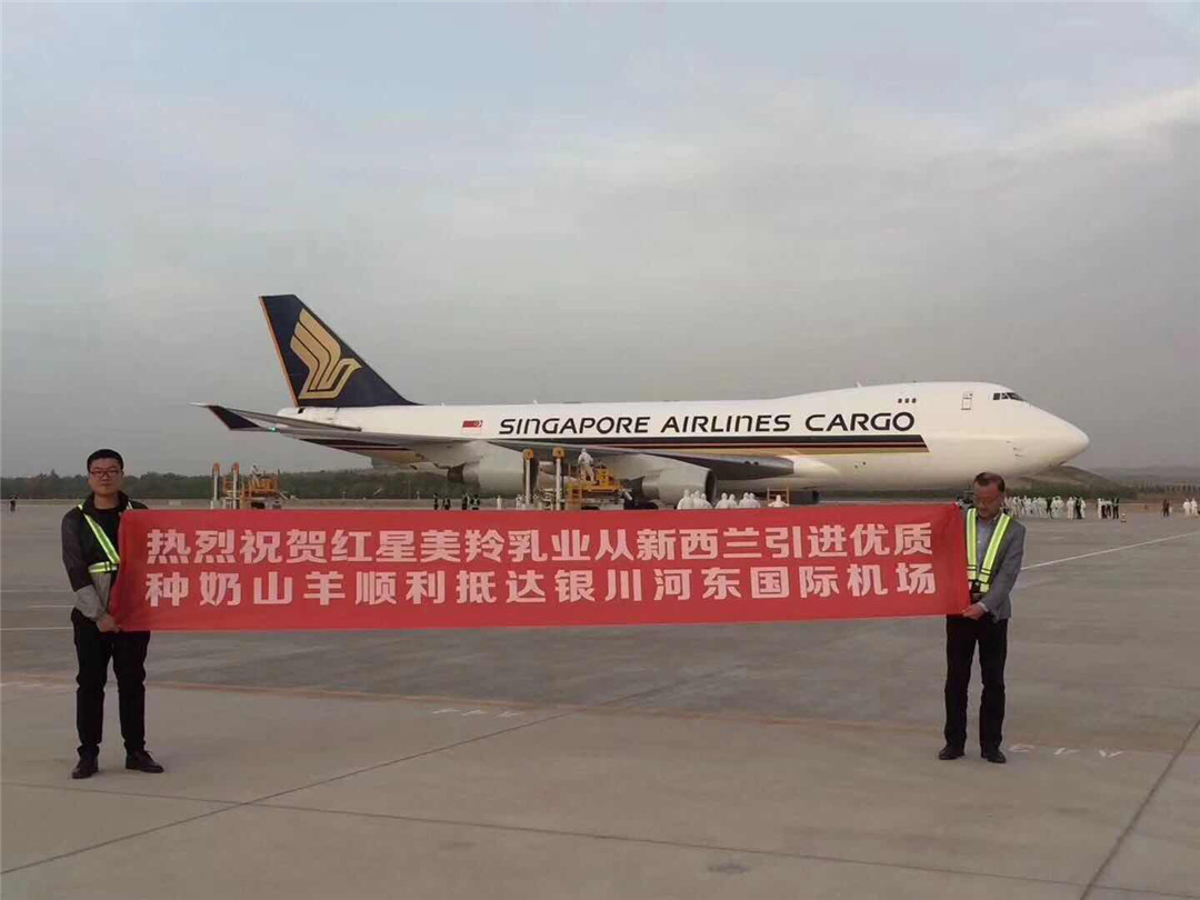 CG电子游戏(中国集团)官方网站