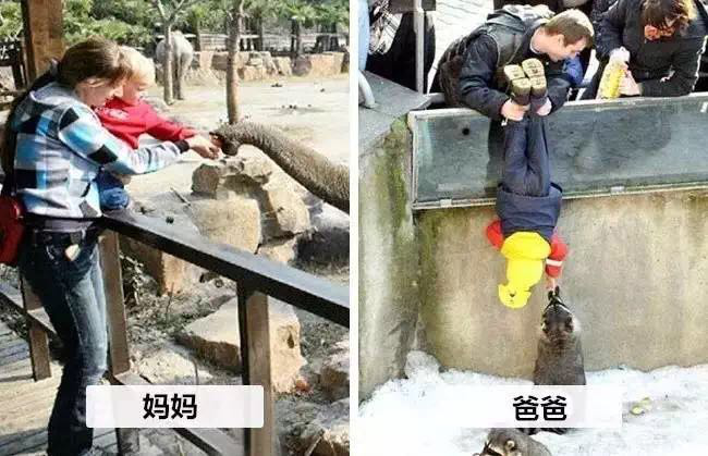 CG电子游戏(中国集团)官方网站