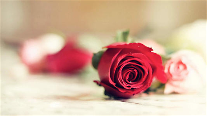1589954750116874.jpg u=2438723125,2454445969&fm=26&gp=0.jpg