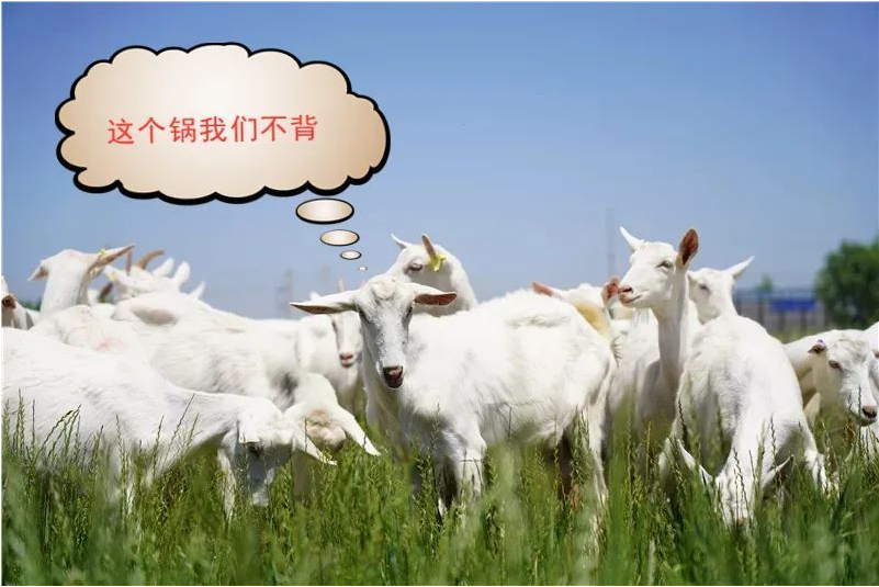 1593688093522276.png 图片.png