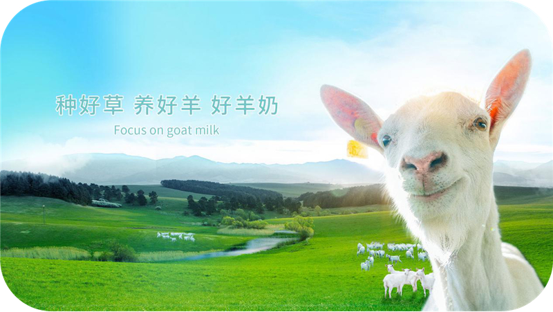 1594717995754304.jpg 图片2.jpg
