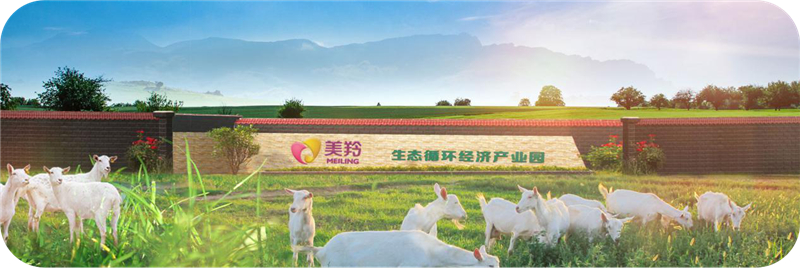 1594718012606274.jpg 图片4.jpg