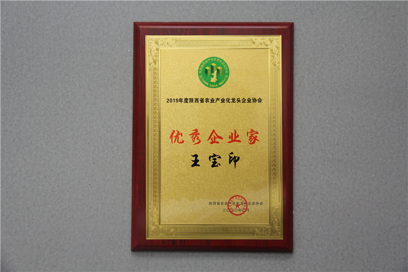 1595495394124529.jpg 图片6.jpg