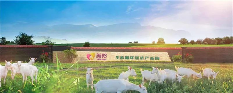 1597309681717554.png 图片.png