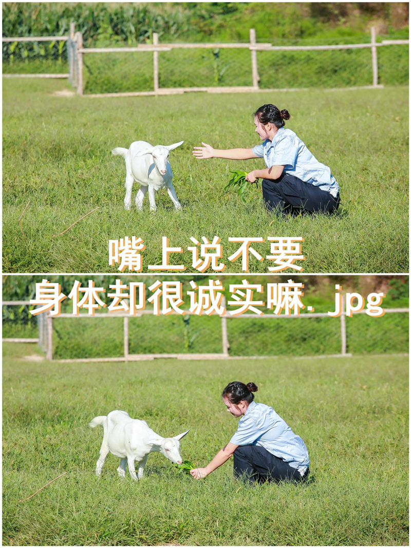 1599904064331818.jpg 图片1.jpg