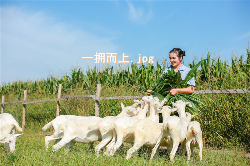 1599904120117657.jpg 图片3.jpg