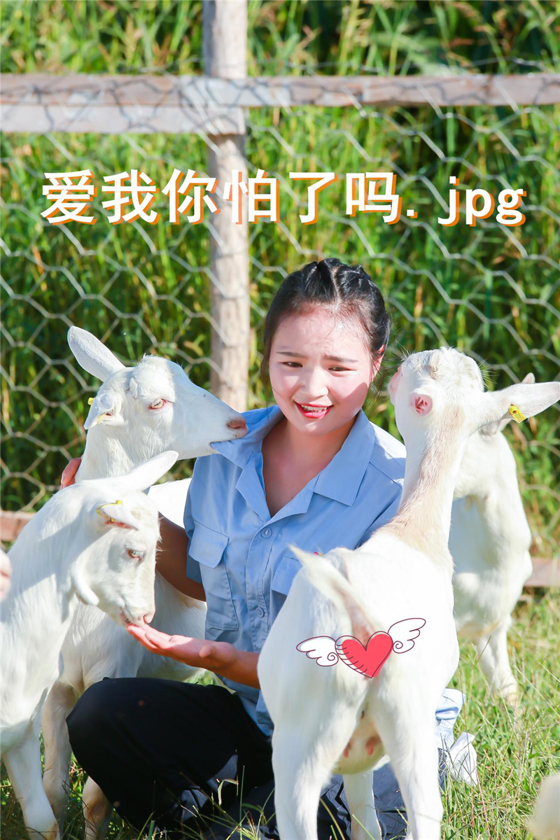 1599904167101103.jpg 图片6.jpg
