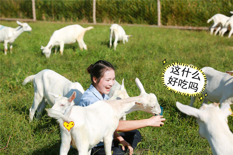 1599904181888864.jpg 图片7.jpg
