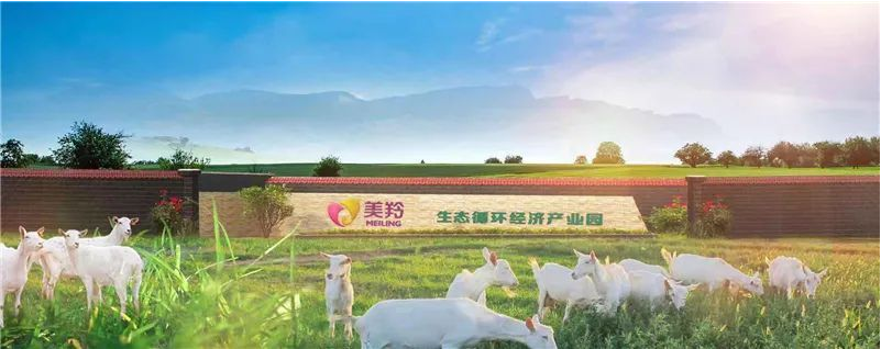 1600254128385564.png 图片.png