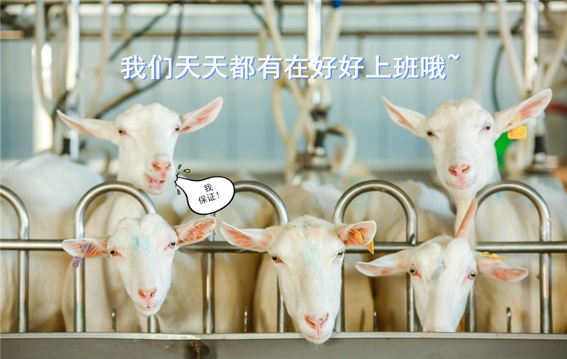 1600857036162488.jpg 图片5.jpg