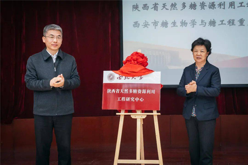 1603876849855342.jpg 图片1.jpg