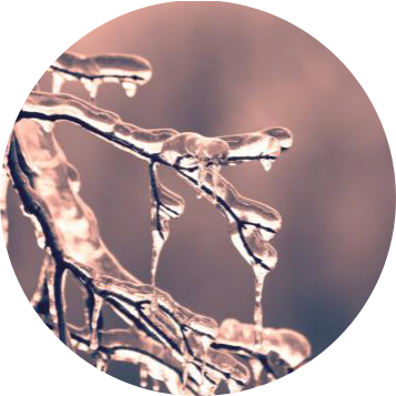 1608532488307806.png 图片3.png