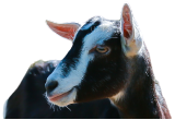 1609146000813085.png 图片6.png