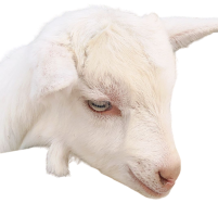 1609146007308451.png 图片5.png