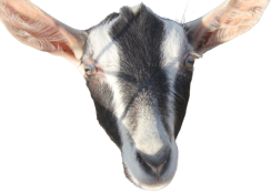 1609146019427821.png 图片3.png