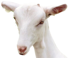 1609146025115553.png 图片2.png