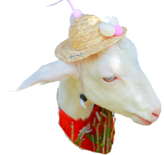 1609146043514703.png 图片1.png