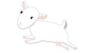 1637229915119202.png 图片.png