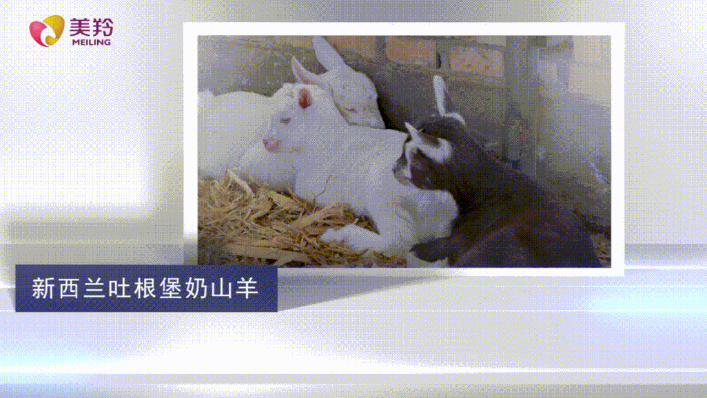 1638179724781715.png 图片.png