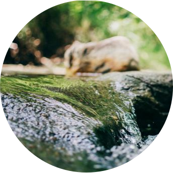 1650422902133239.png 图片3.png