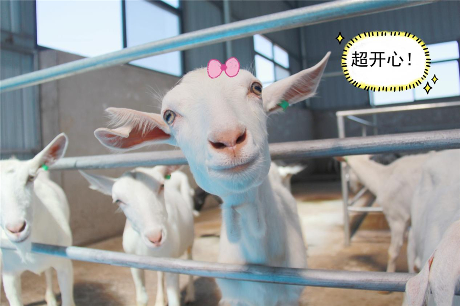 1653558490193298.jpg 图片1.jpg