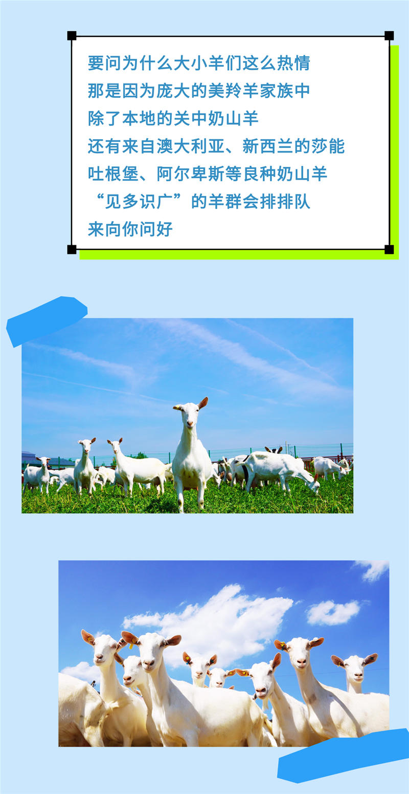 稿定设计-11.jpg