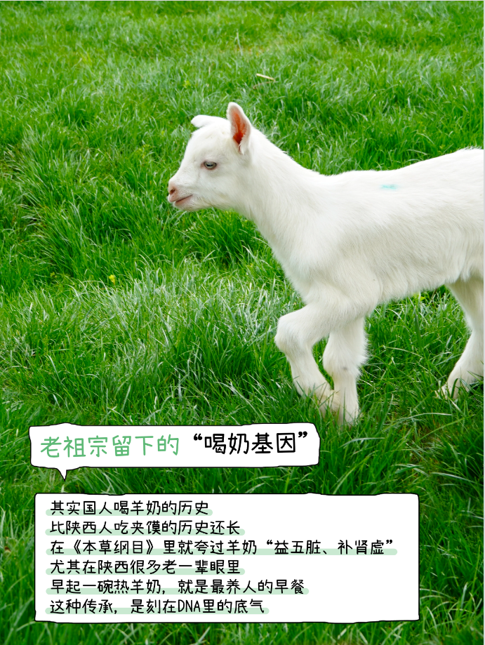 1774603330768073.png image.png